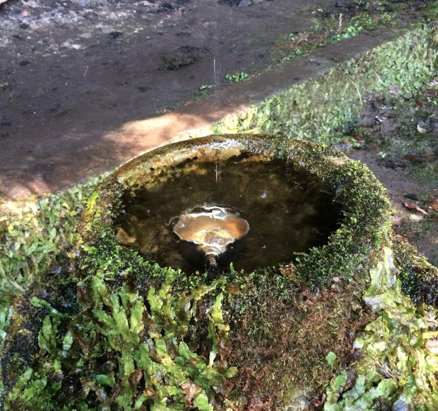 八女津媛神社の媛しずく
